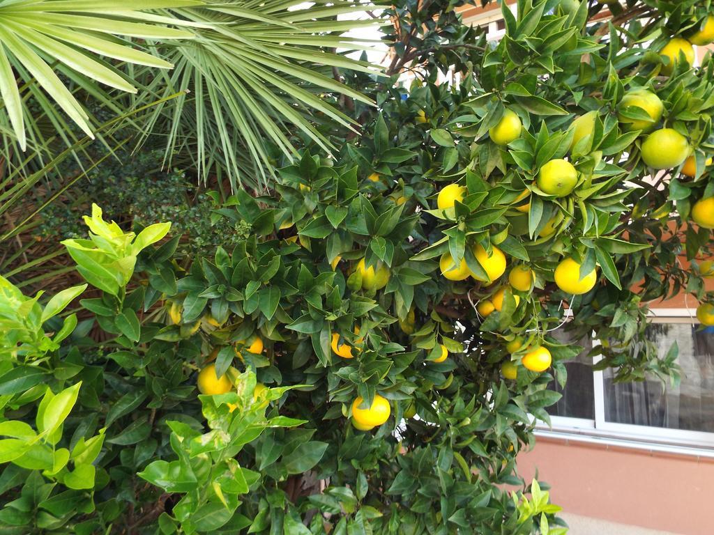 Olivella Casa Mallarenga Rooms מראה חיצוני תמונה