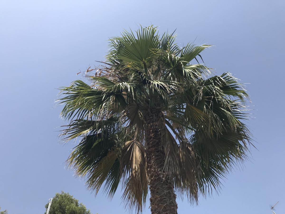 Olivella Casa Mallarenga Rooms מראה חיצוני תמונה